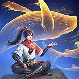 初年传高手进阶攻略：从新手到精通指南